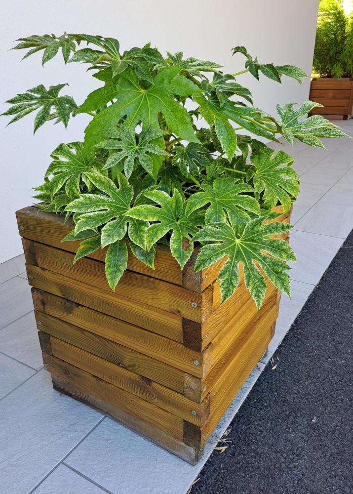 Pot lambourdes 2