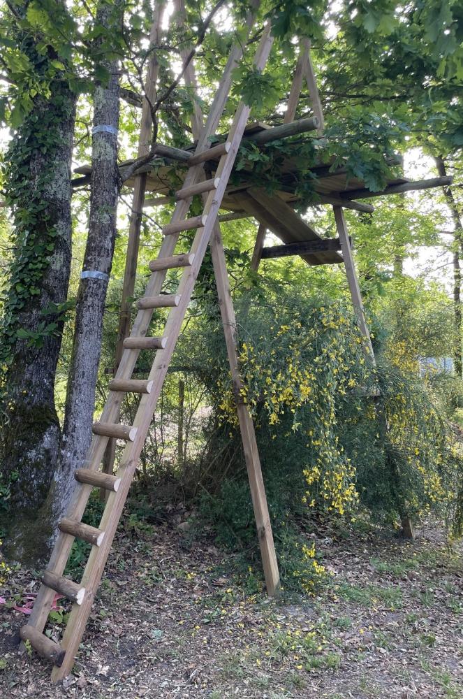 Plateforme et échelle accrobranche en rondins et lambourdes